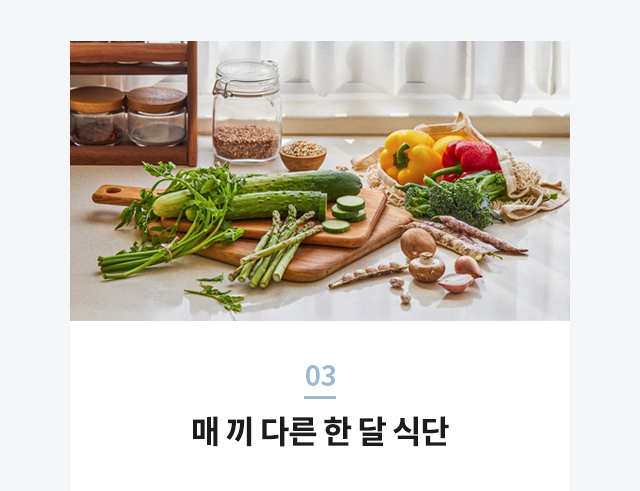 매 끼 다른 한 달 식단