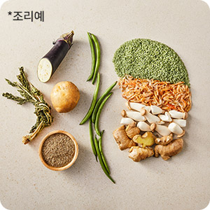 비투석식단